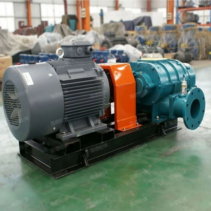 Negative pressure roots vacuum pump
