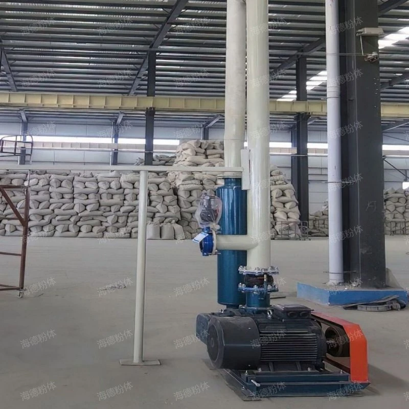 Permanent magnet variable frequency Roots vacuum pump
