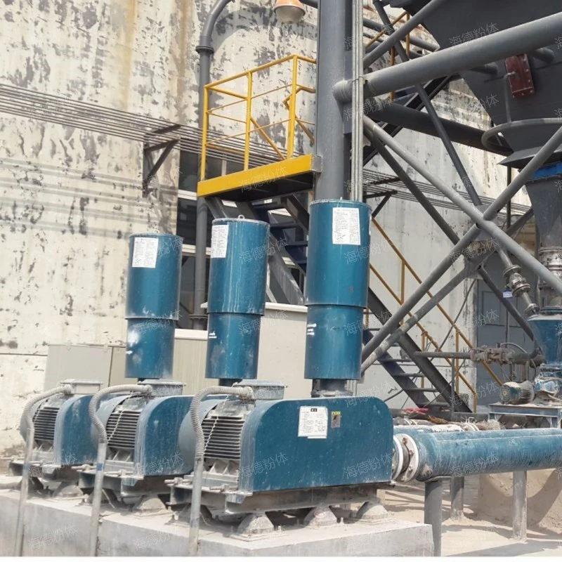 Combustible gas conveying Roots blower