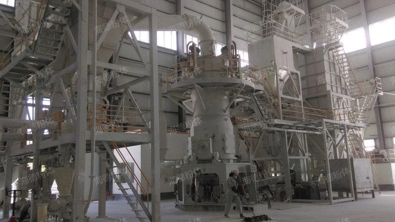 Pneumatic ash extraction system